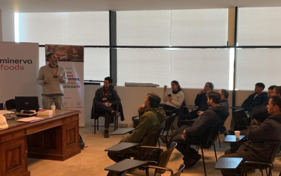Formación para empresas: conocimiento aplicado a la gestión ambiental